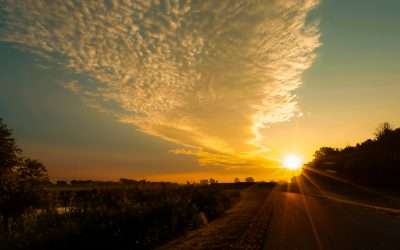 Discover East Texas: Your Ideal Place to Live, Work, and Play